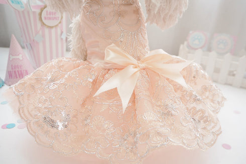 Princess Style Ceremonial Robe